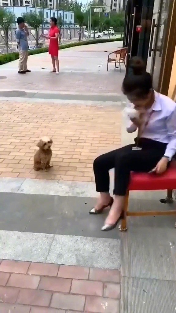 微博喜剧现场